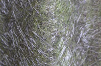 Aldershawe fibreglass roof work